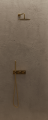 p.png