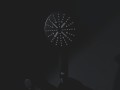 Shower_head_4_3_4_3.jpg
